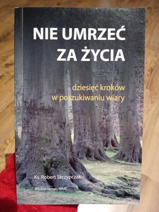Nie umrzeć za życia ks. Robert Skrzypczak w poszukiwaniu wiary