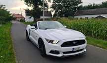 Ford Mustang Ford Mustang 5.0 Cabrio 71tyś przebiegu