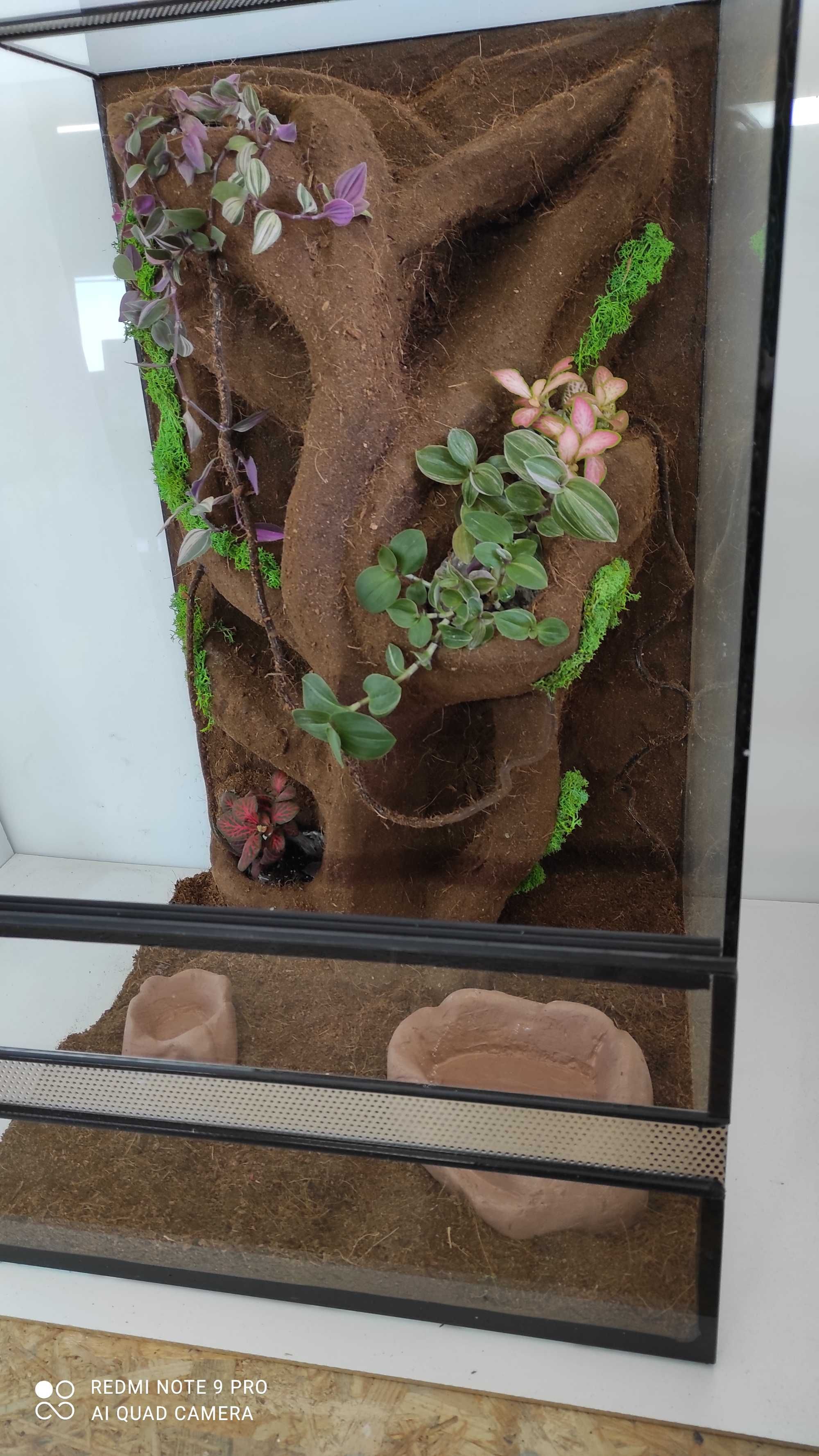 Terrarium dla gekona orzęsionego z roślinami, TW34R, AquaWaves