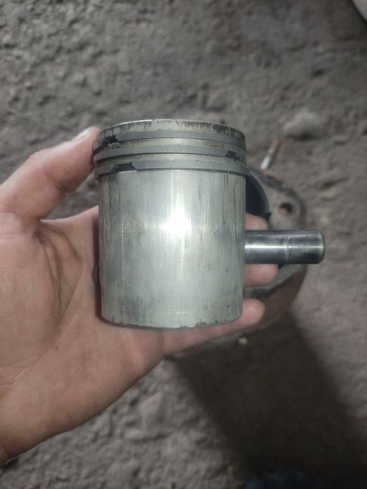 Поршнева від муравя