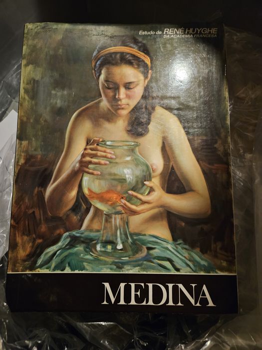 Livro estudo de René Huyghe - MEDINA
