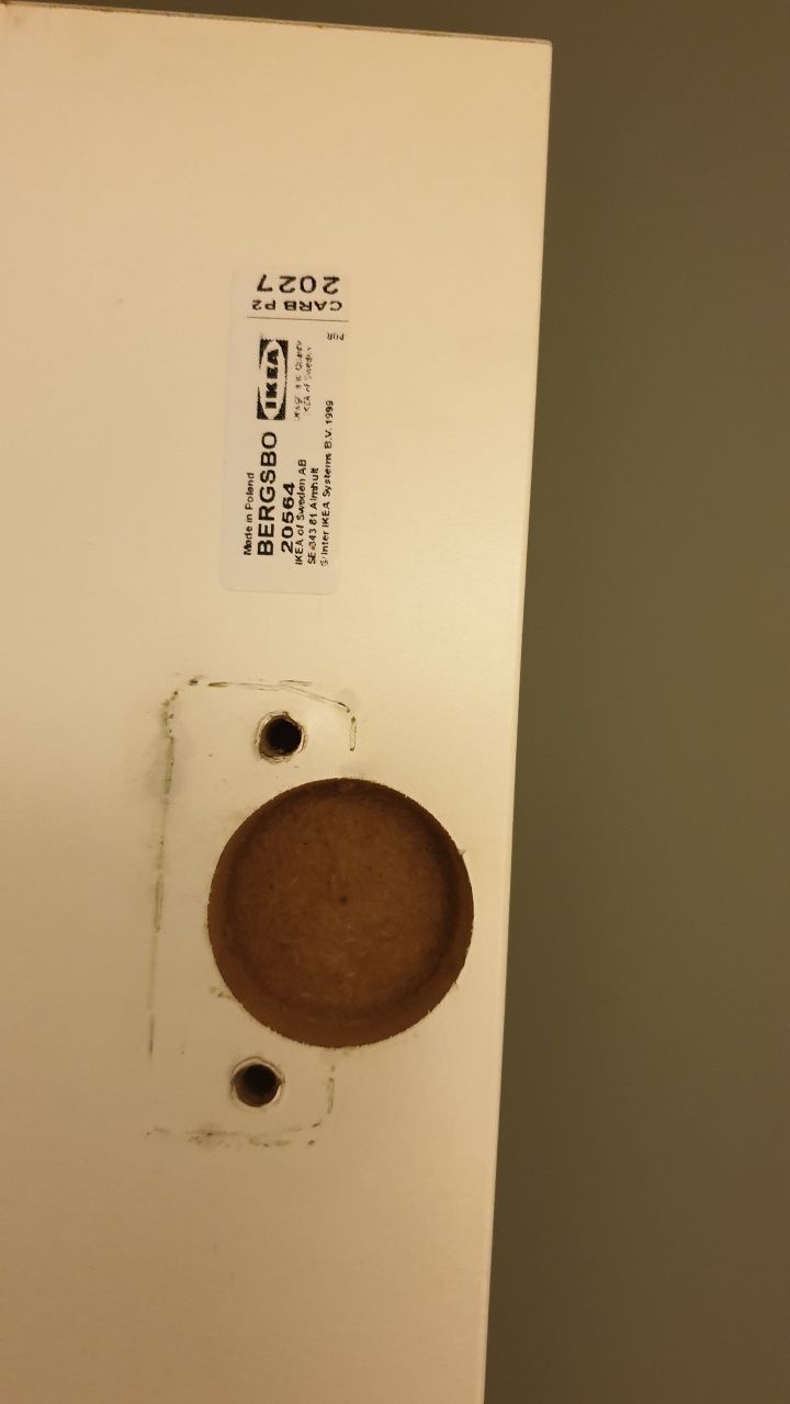 Front drzwi Ikea Bergsbo 236x50 z zawiasami