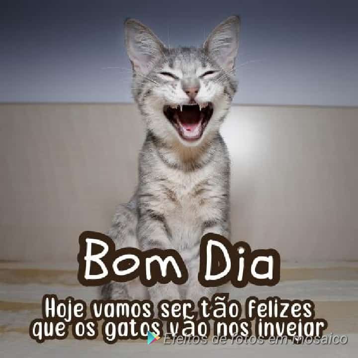Carteiras novas e seminovas