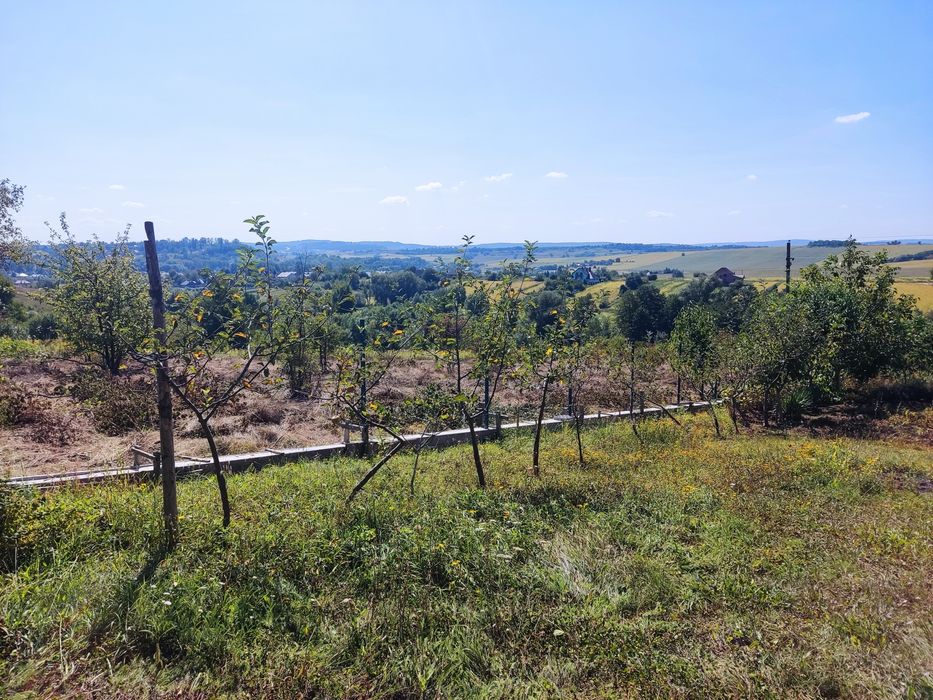 Вигідна пропозиція з продажу ділянки в с. Коровія