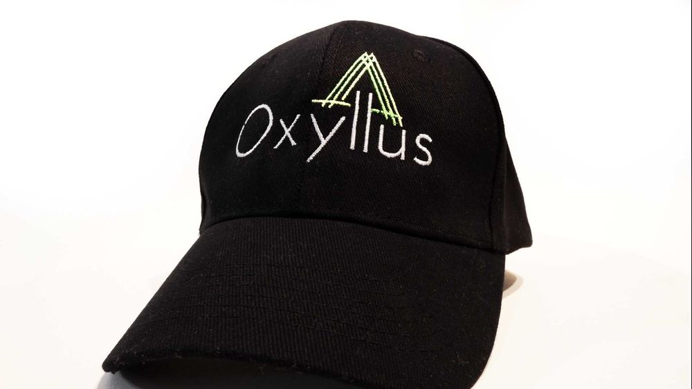 Boné novo em algodão orgânico - Unisexo