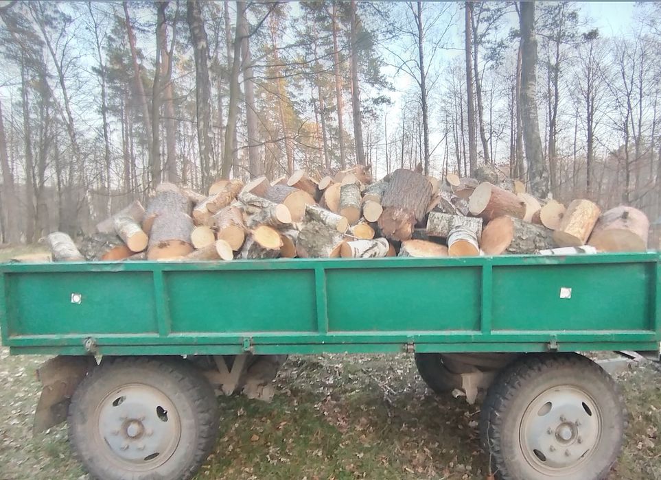 Drewno opałowe/kominkowe