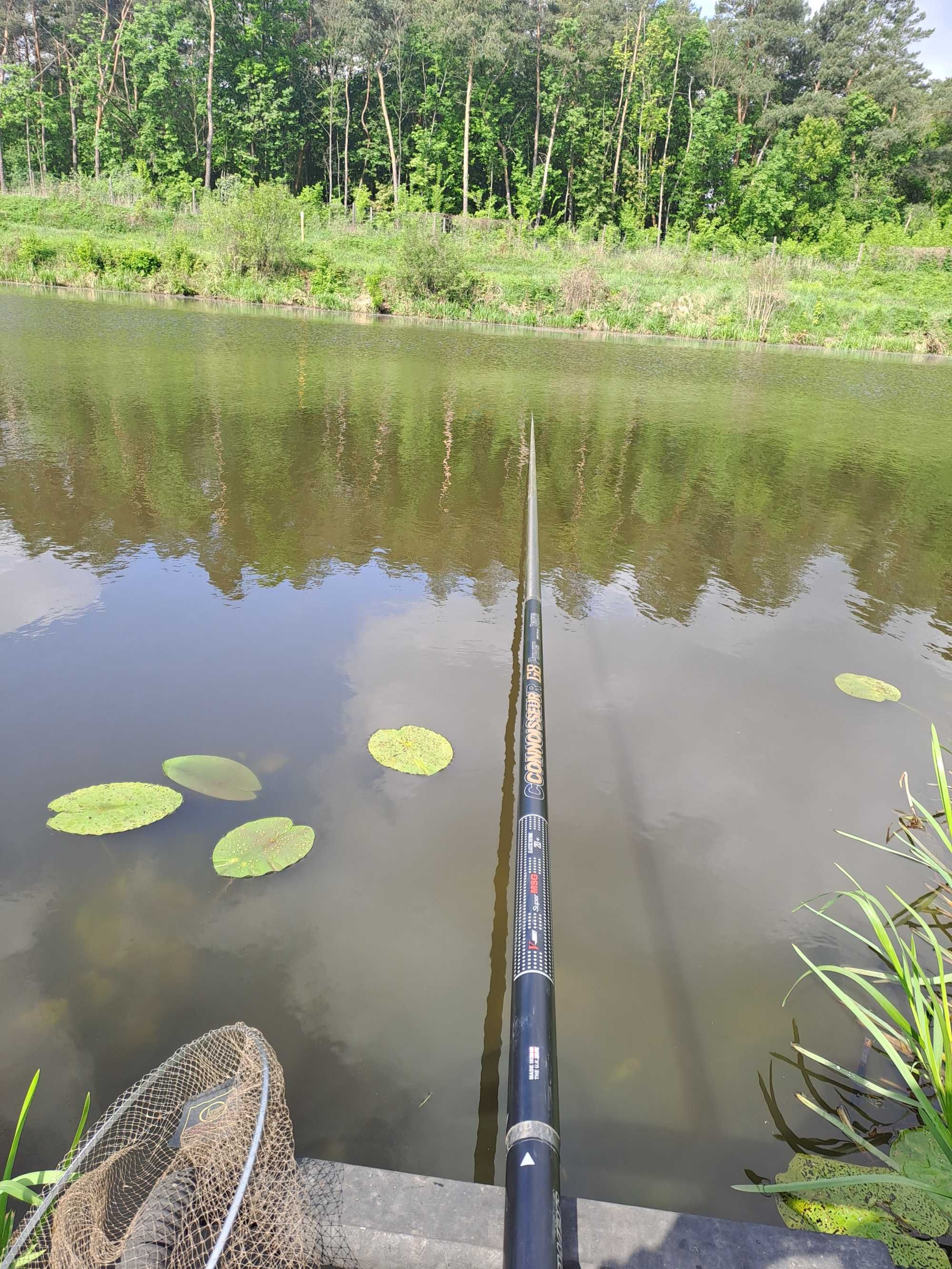 Nowy element nr 8 tyczka daiwa connoisseur G8