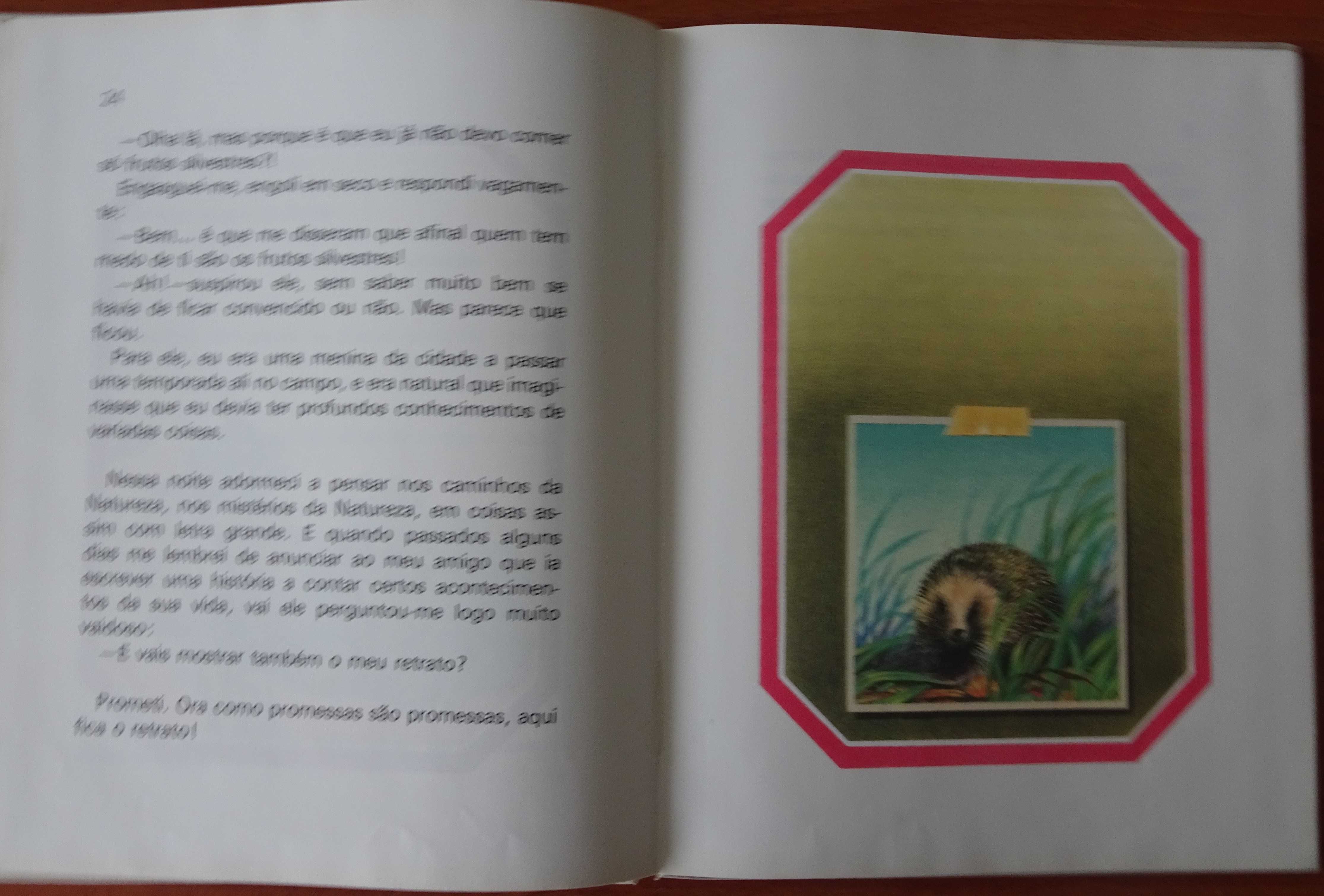 O Ouriço Cacheiro Espreitou 3 Vezes de Maria Alberta Menéres