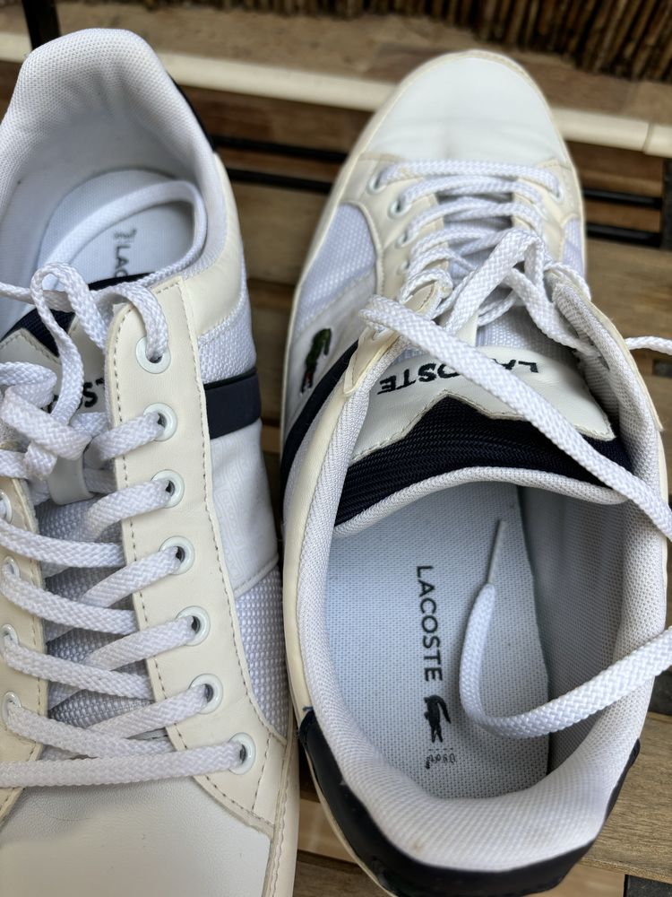 Tenis Lacoste N42