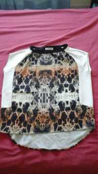 t shirt zara collection