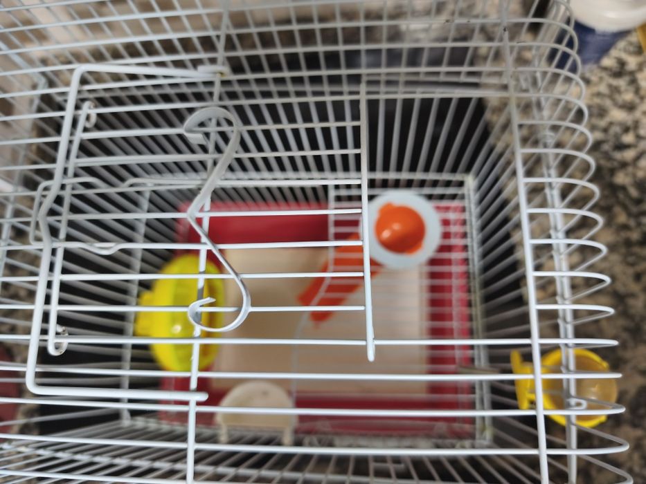 Gaiola Hamsters completa novinha