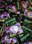 100шт Чай Greenfield Spring Moment