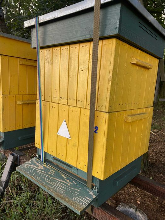 sprzedam ule ramka wielkopolska leżaki i korpusowe