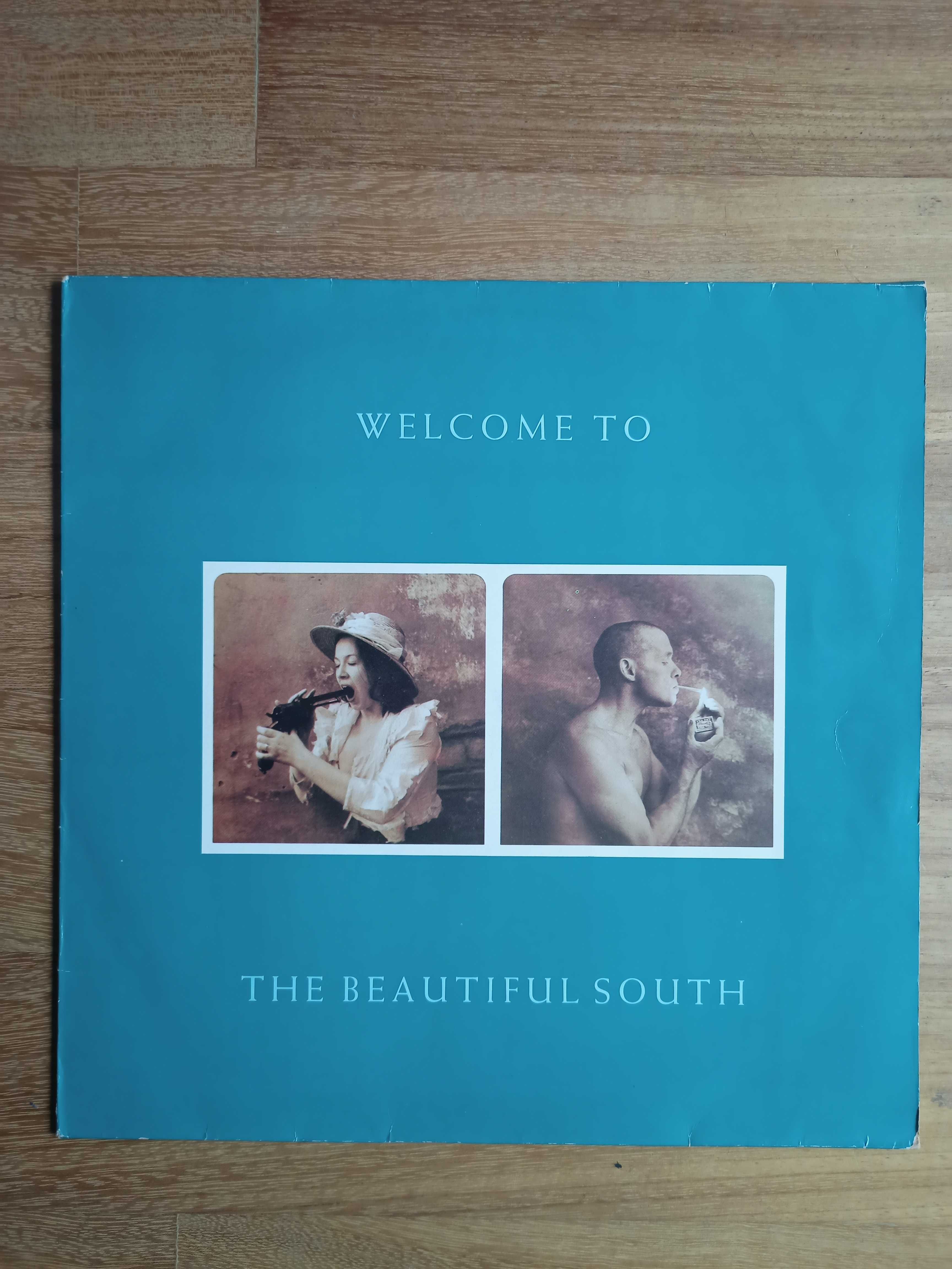 Disco de vinil - The Beautiful South