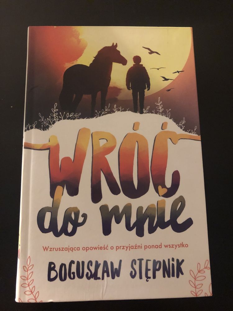 Wróć do mnie - Bogusław Stępnik