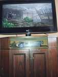 Sprzedam PS2 + tv LG