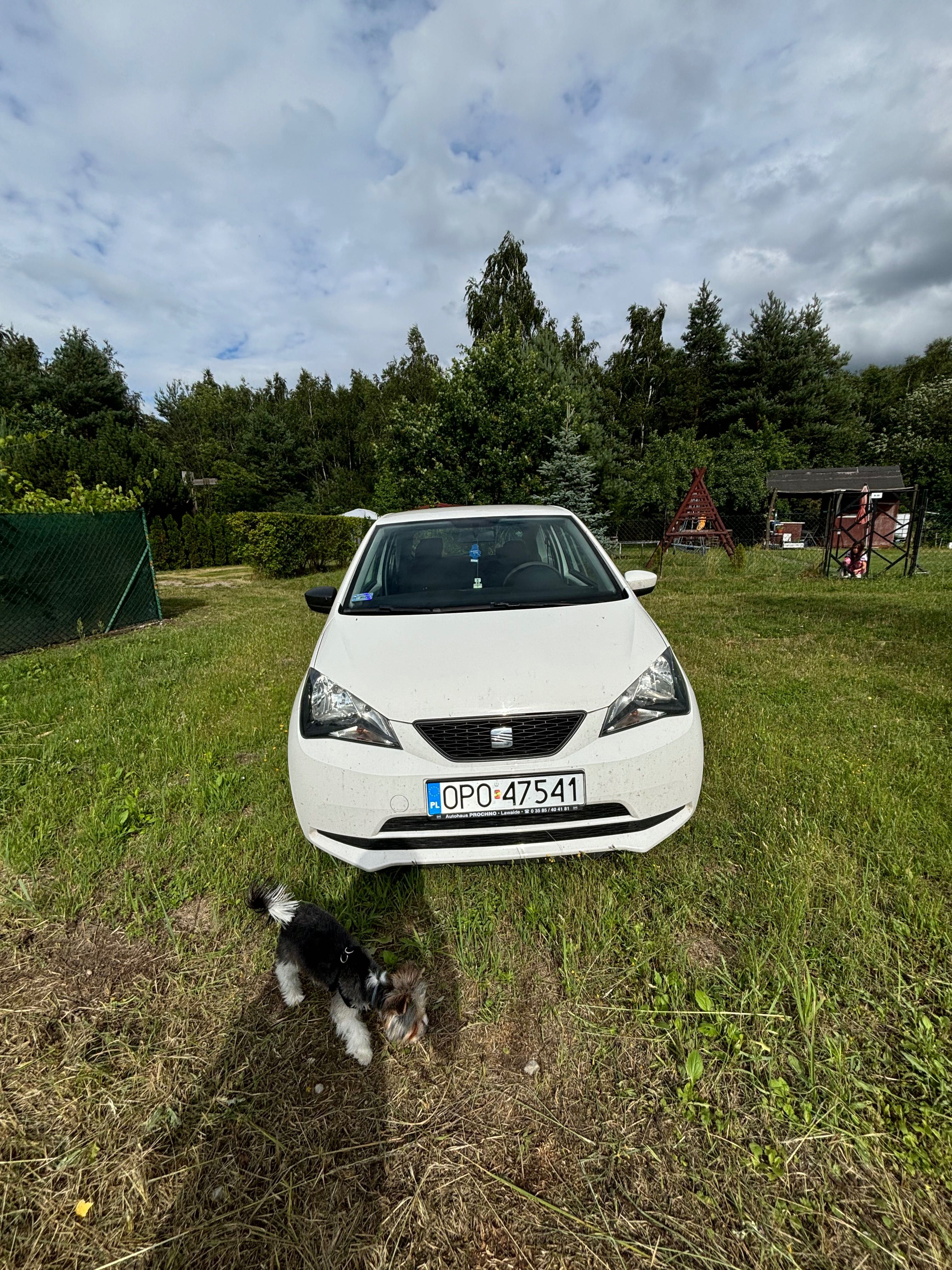 Zadbany Seat mii