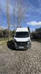 Fiat ducato maxi