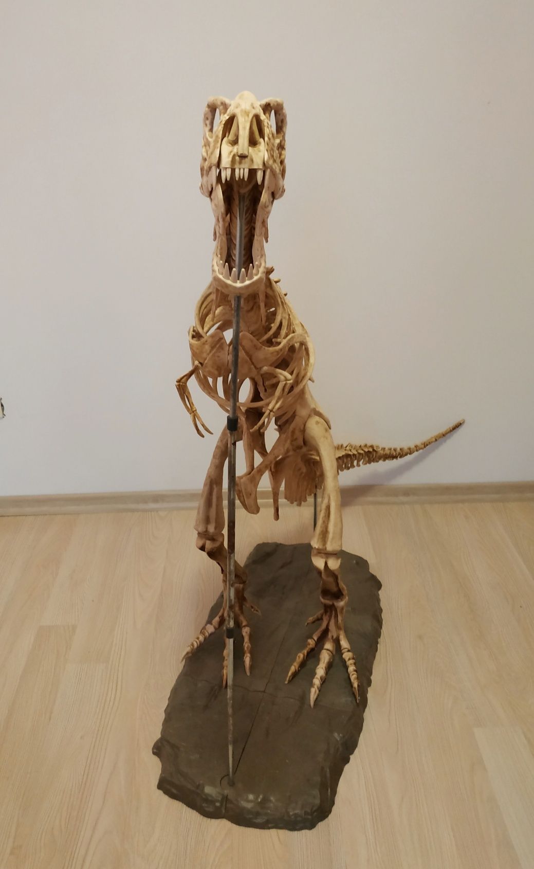 Dinozaur składany - kości plus skóra