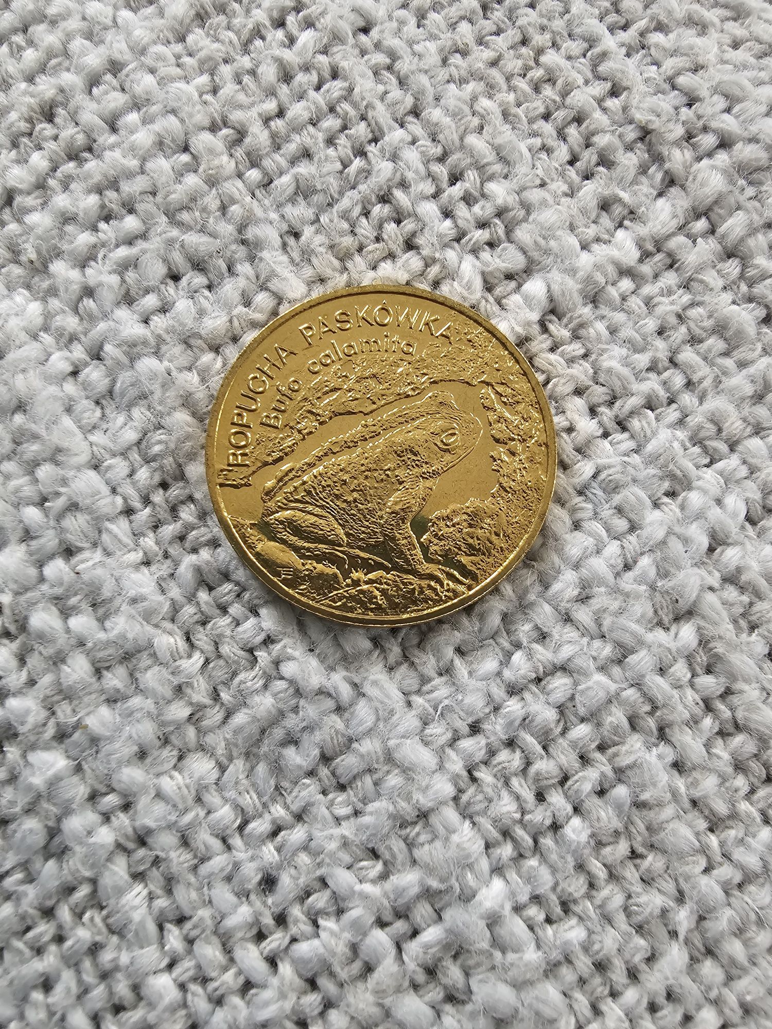 Wymienię monety na rośliny ogrodowe