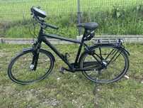 Rower Pegasus Permio SL NL