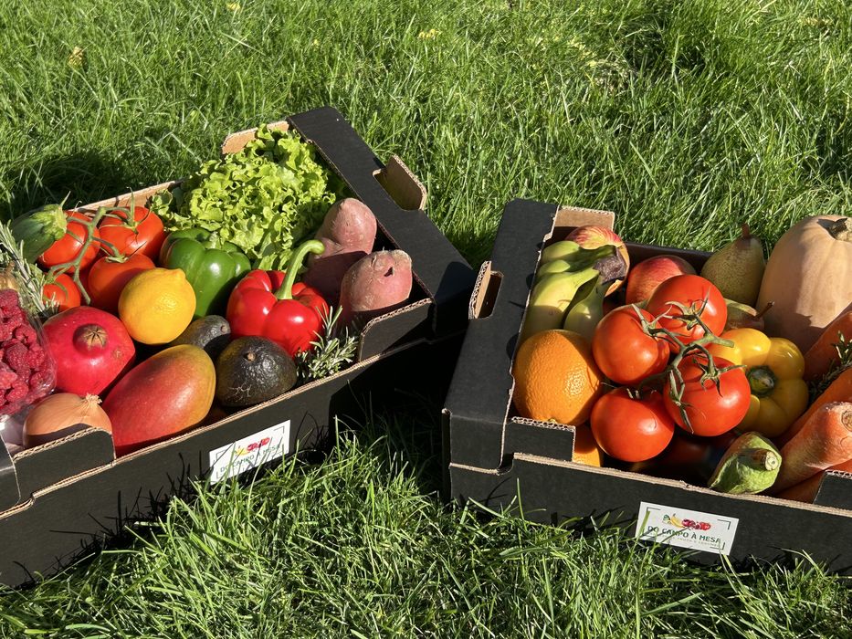Cabazes de fruta e legumes frescos