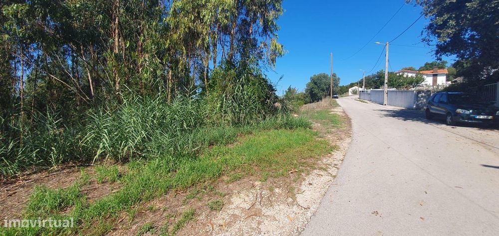 Terreno á Venda Maiorga, Alcobaça