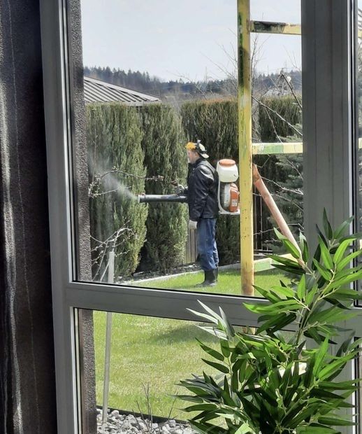 Покіс газону бурʼяну Послуг з прибирання території та догляд за садом