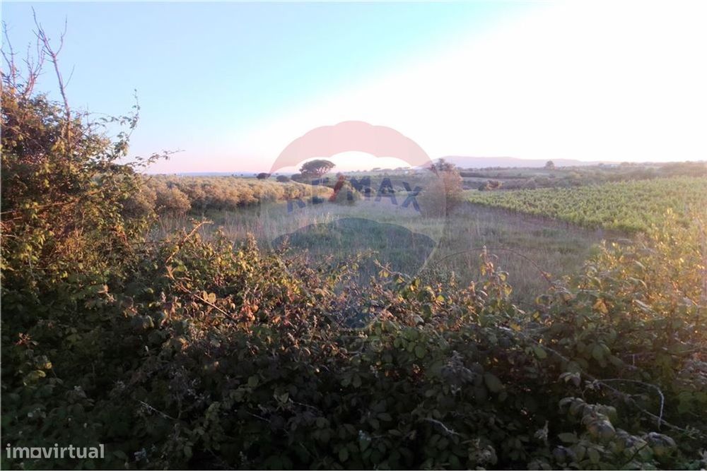 Terreno  para venda