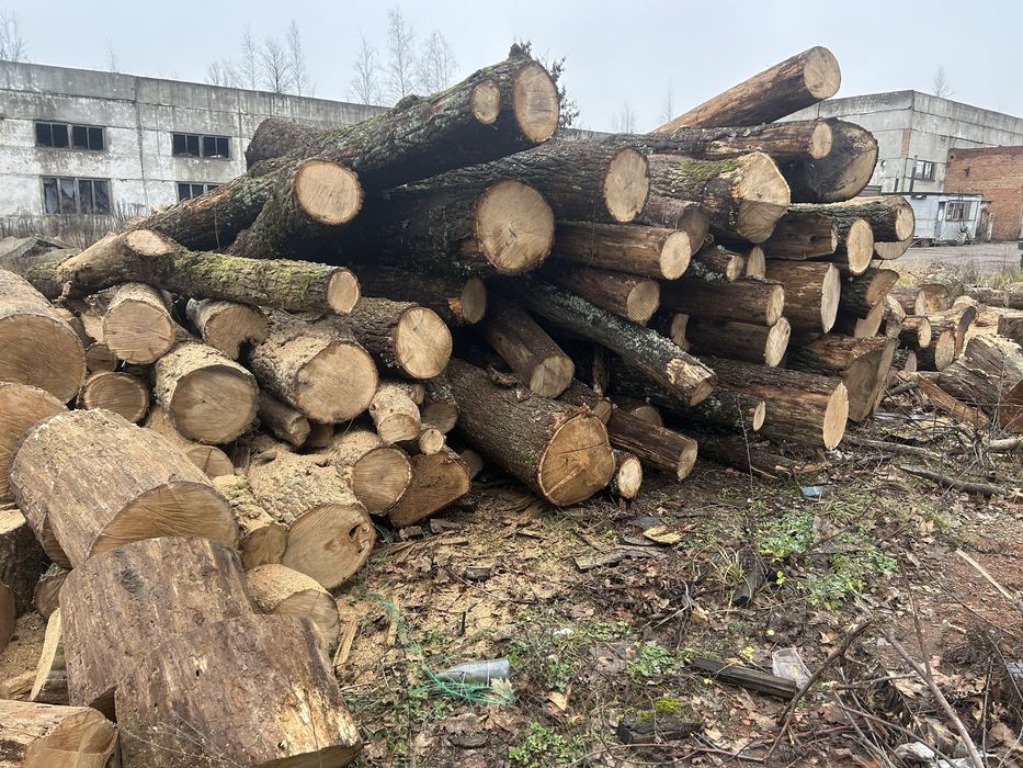 Продам дрова Дуб Ясень