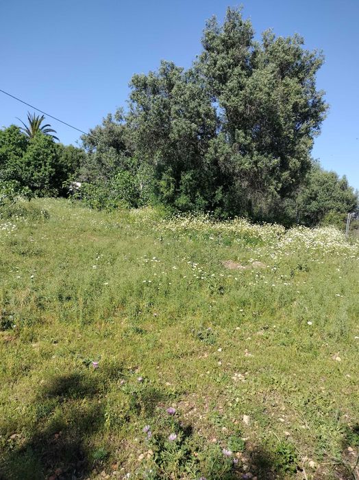 Quinta com Moradia no sitio do Poio - Mexilhoeira Grande