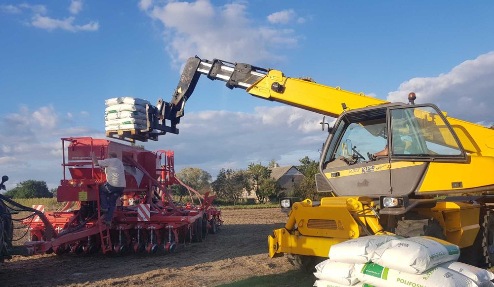 Usługi siewu rzepak.Siew pasowy Czajkowski ST600, strip-till