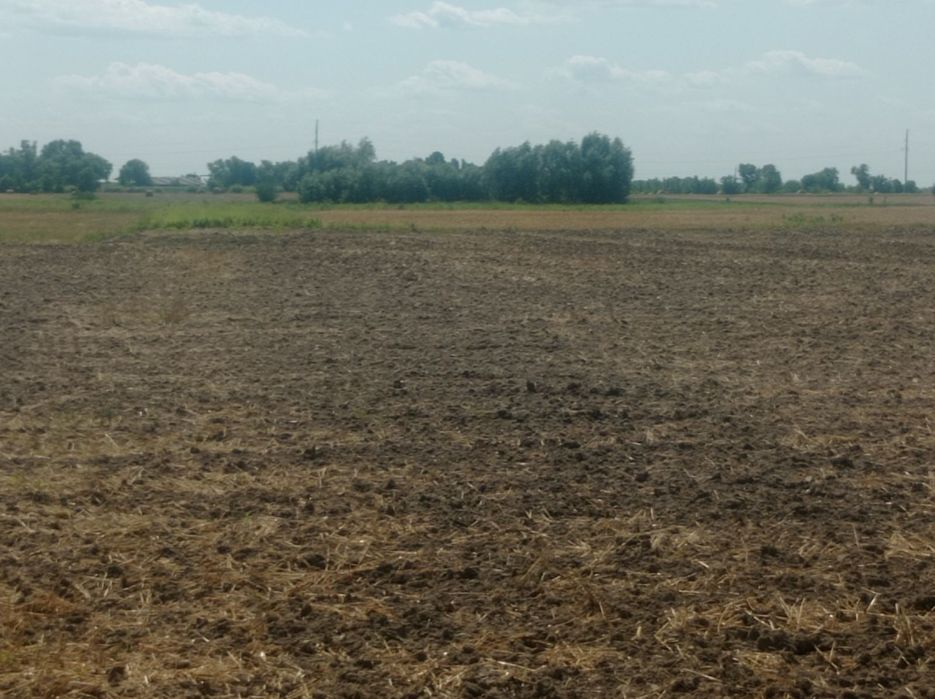 Продам участок под строительство с. Сеньковка