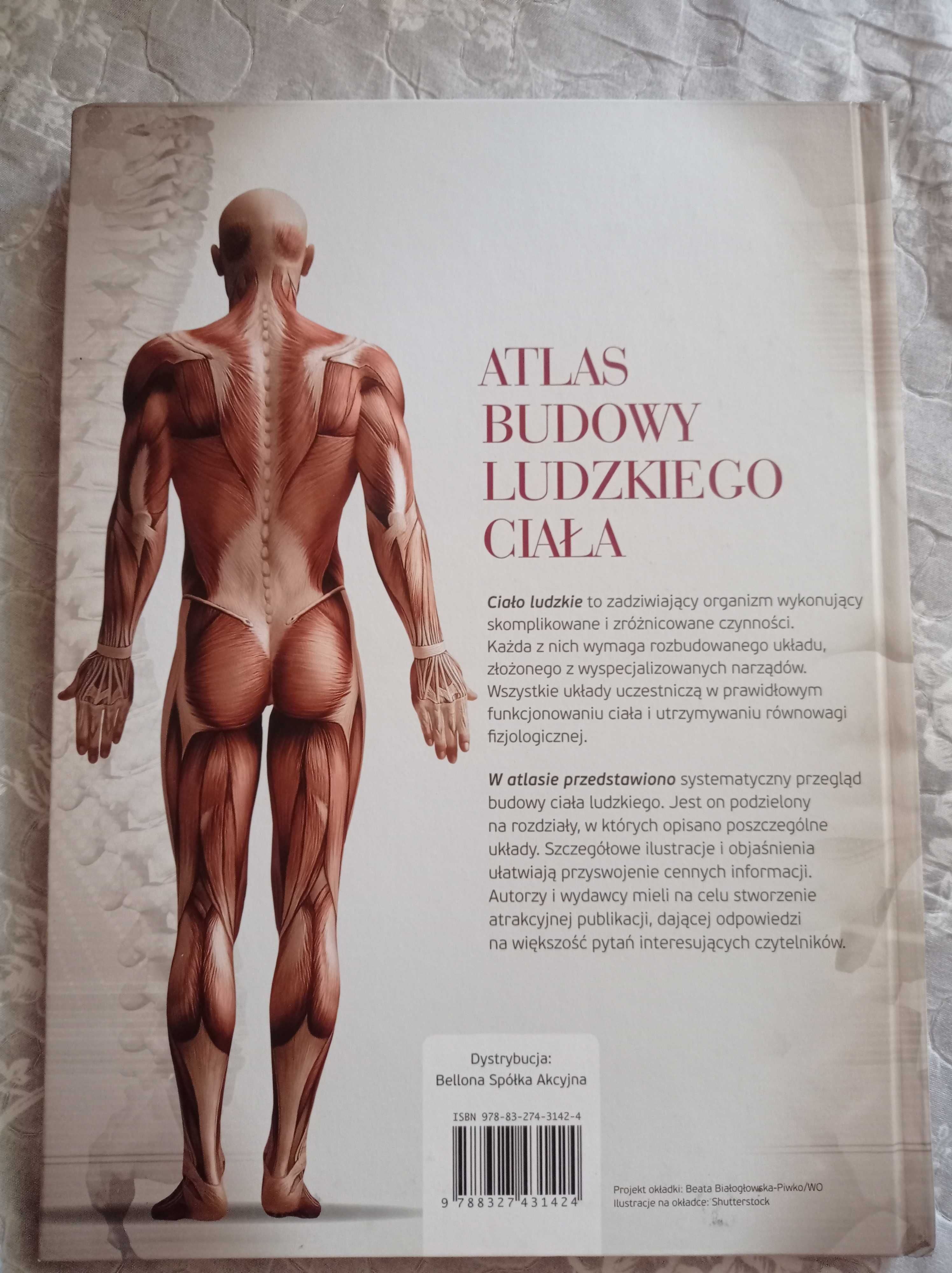 Atlas anatomiczny