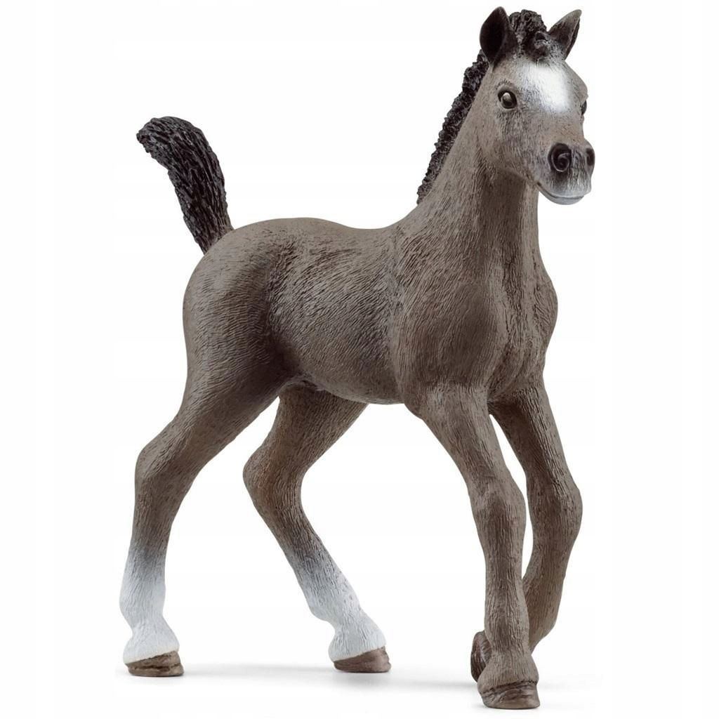 Źrebak Rasy Cheval De Selle Francais, Schleich