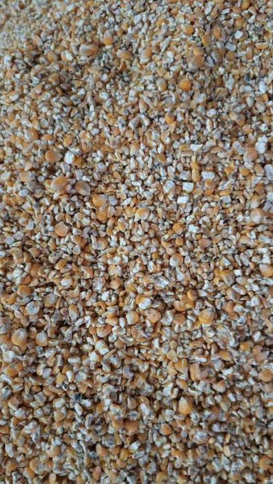 Кукурудза горох,пшениця