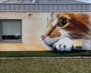 Mural Graffiti Malarstwo Artystyczne na każdą kieszeń