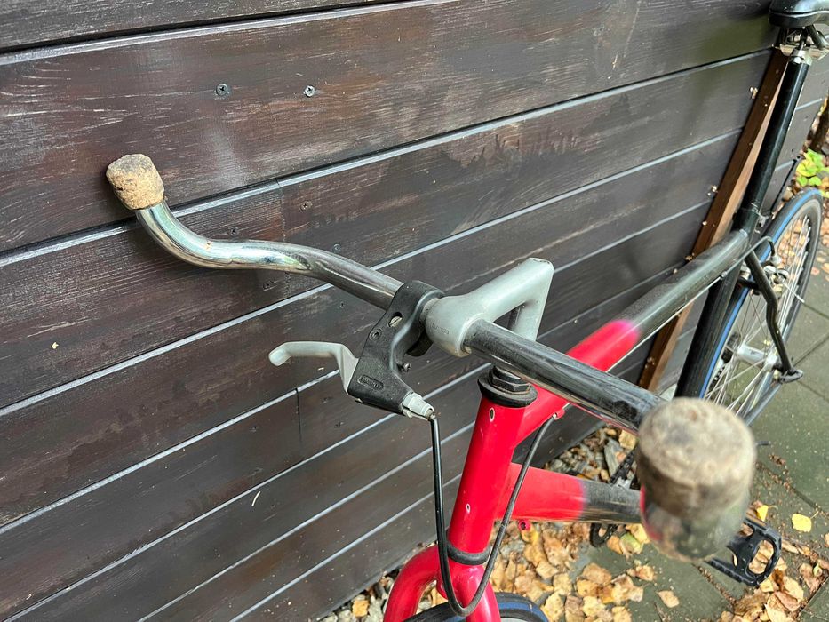 Rower custom / singlespeed / szosowy na stalowej ramie – koła 28"