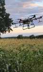 Opryski dronem rolniczym