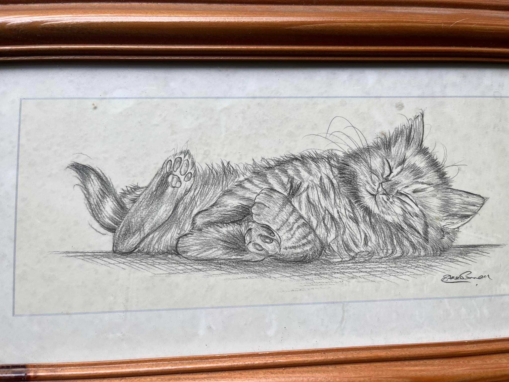 Śpiący kot obrazek w drewnianej ramie 38x23 cm
