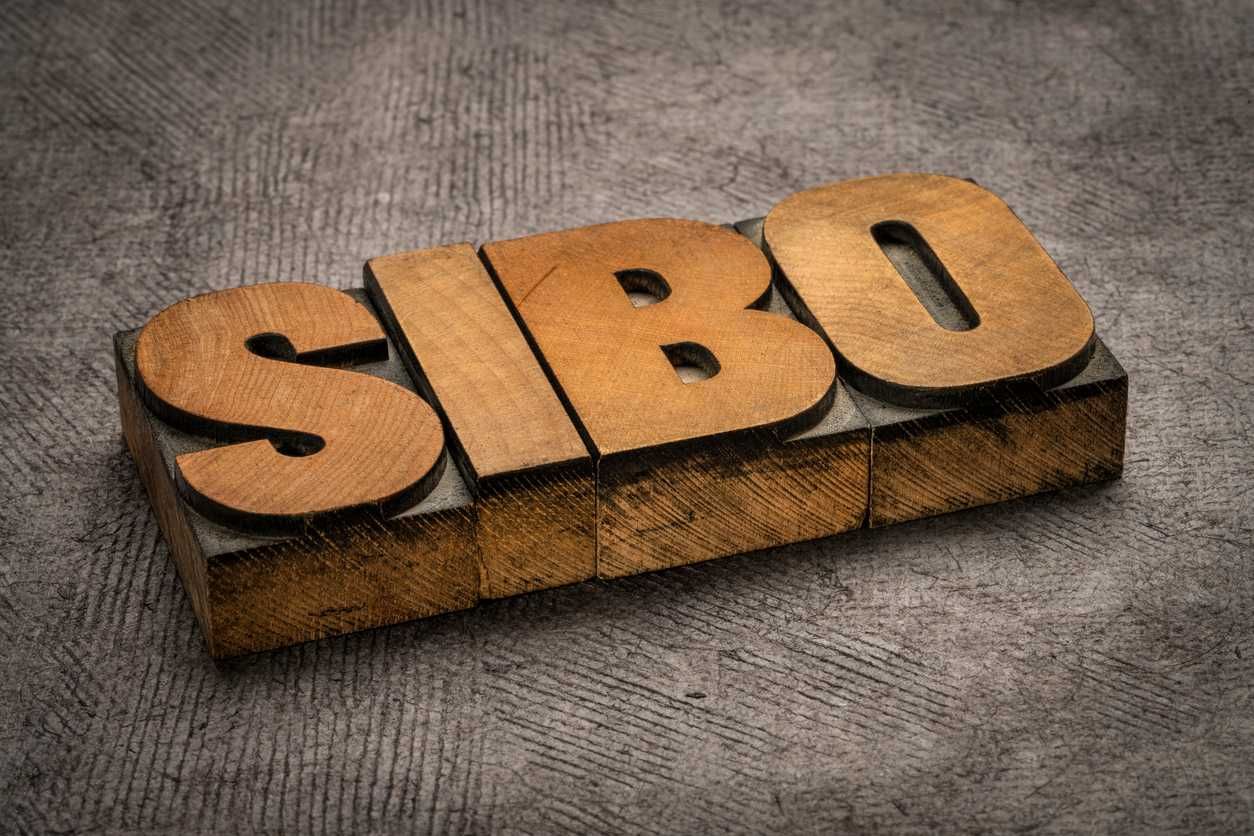 Iogurte SIBO - Cultura termofílica