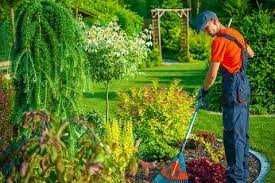 САДІВНИК Сад під ключ: перетворюємо простір на натхнення