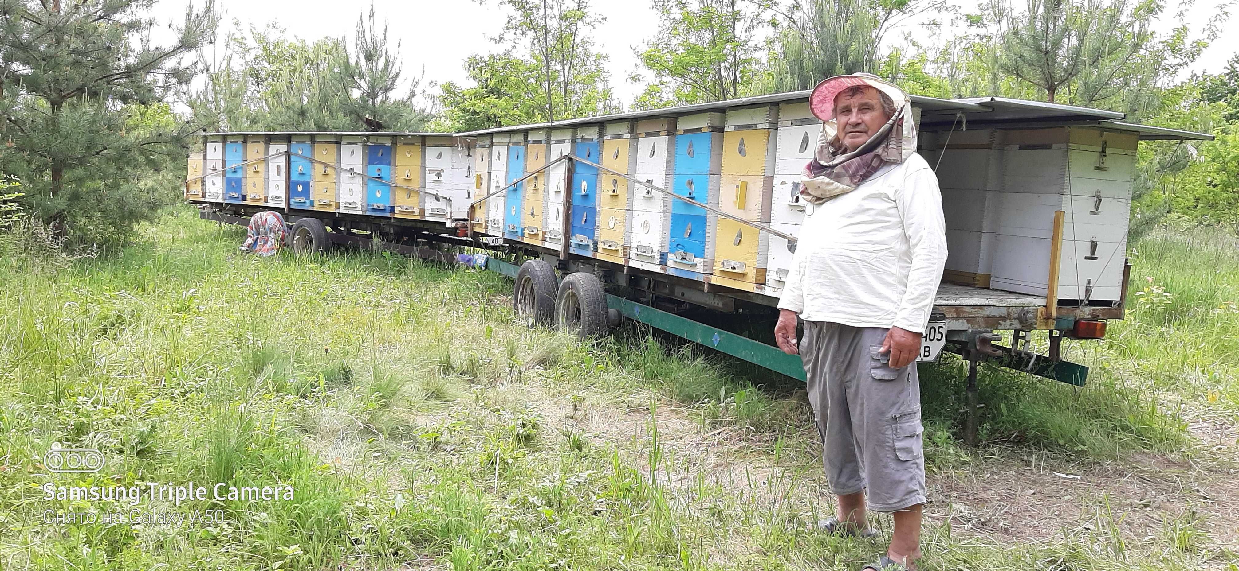 Продам бджілоплатформу, бджолопакети, віск, вощину