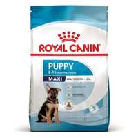 Royal Canin maxi puppy