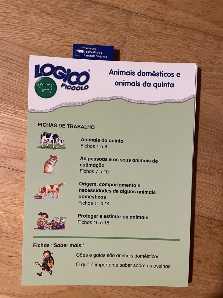 Lógico Piccolo Box - Estudo do Meio