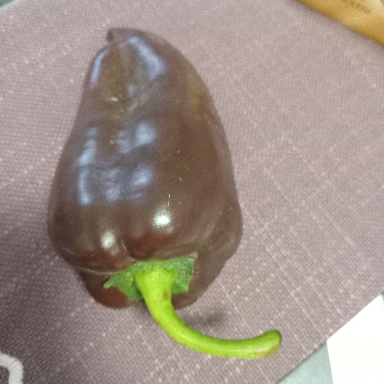 Насіння перцю .продаж.