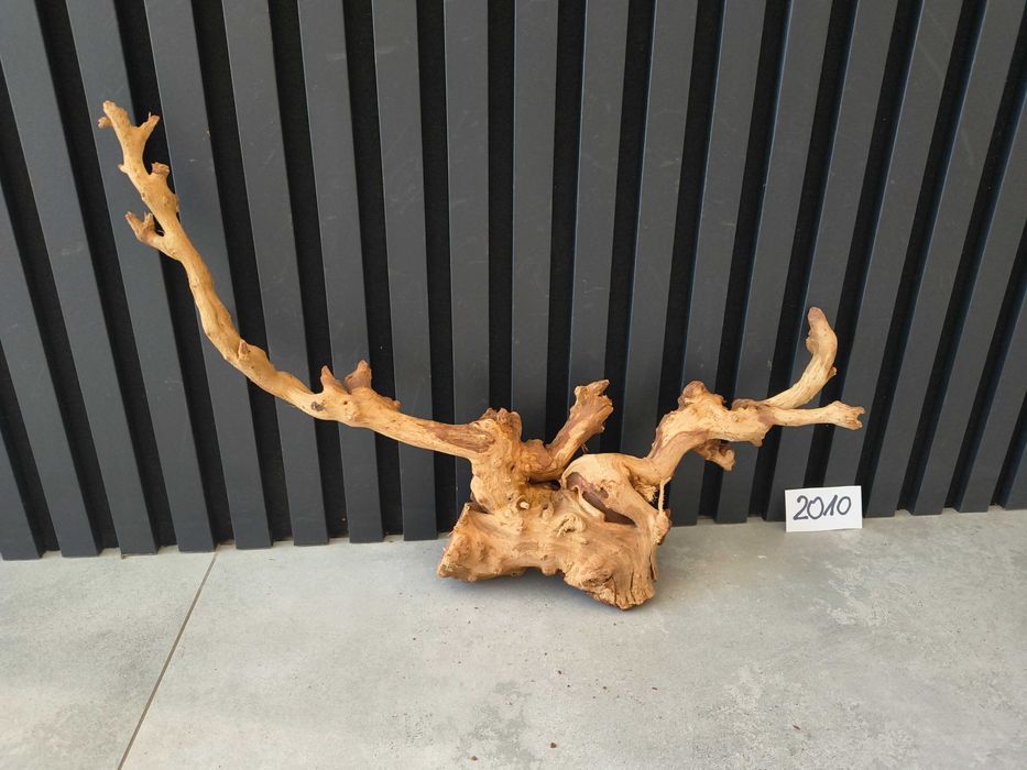korzeń Bell Wood masywny 2010 do akwarium terrarium 55x36x9 NOWOŚĆ