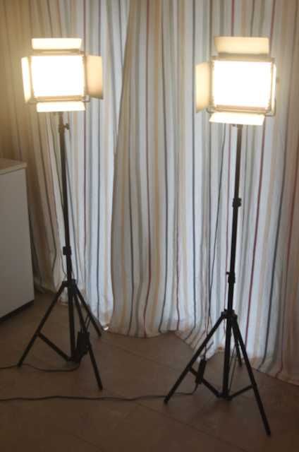 Two NEEWER Bi-Colour 660 LED  Video Lights & Stands