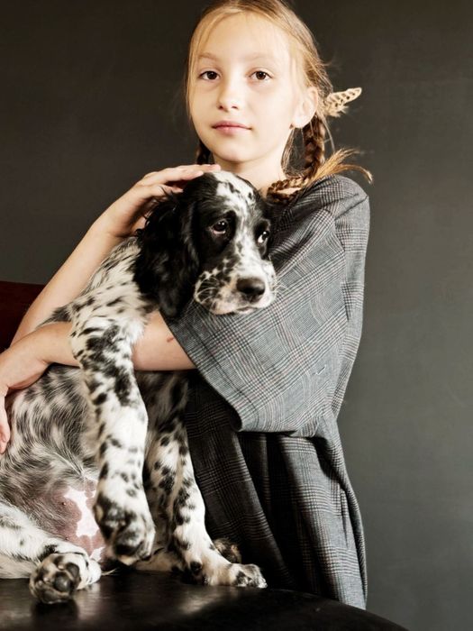 Англійський сетер