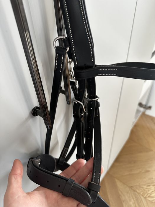 Ogłowie Dyon  Working